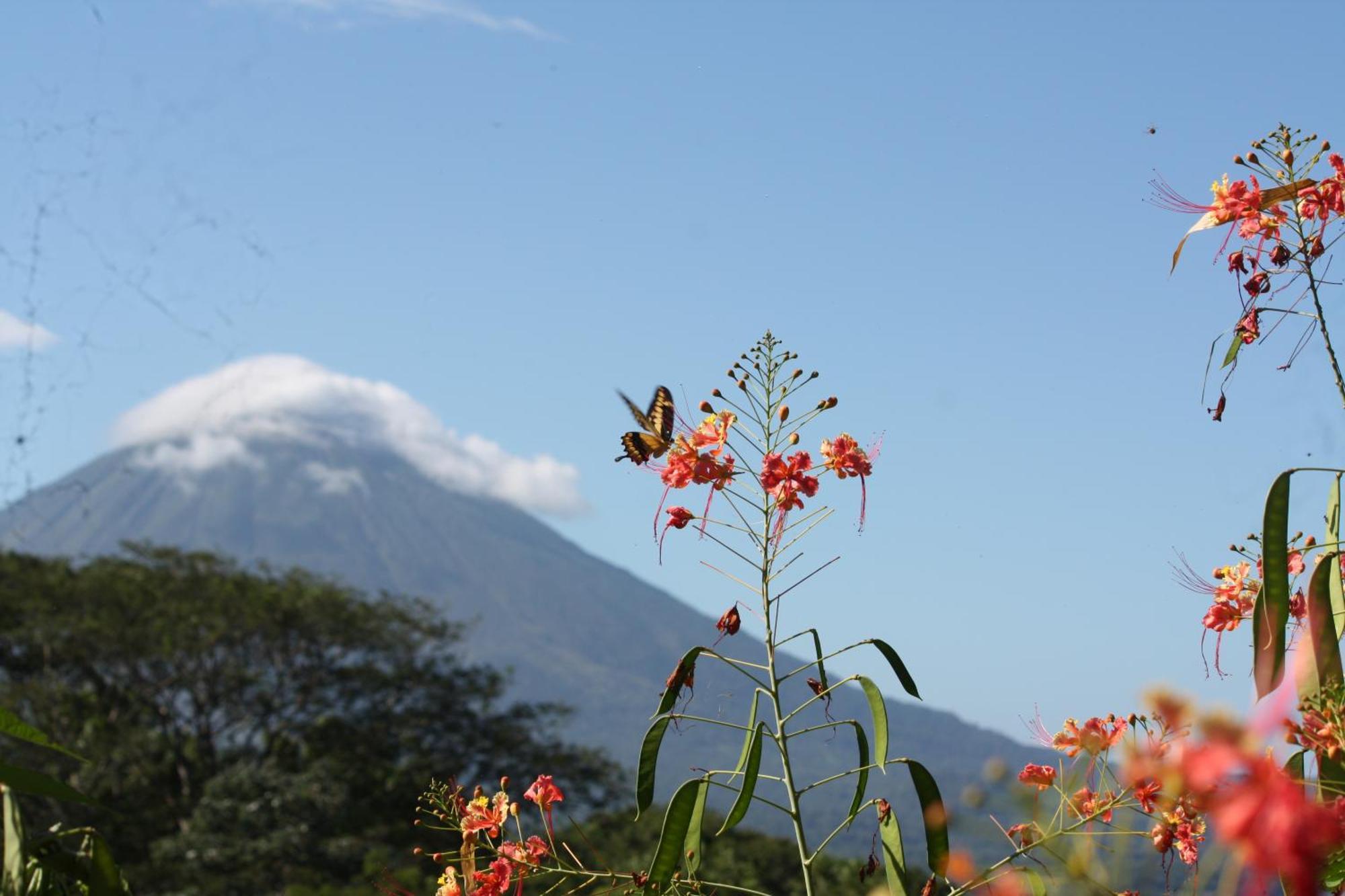 Totoco Eco Resort Balgue ภายนอก รูปภาพ